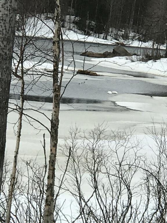 Villa Somosenranta Oikarainen Bagian luar foto